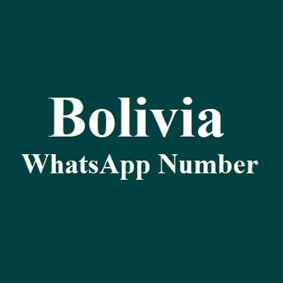 玻利维亚 Whatsapp 数据​