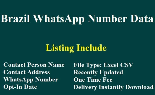 巴西 WhatsApp 数据​