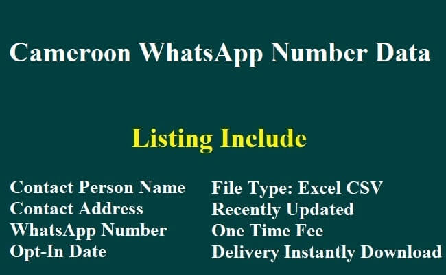 喀麦隆 WhatsApp 数据