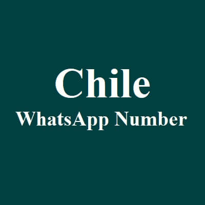 智利 WhatsApp 数据
