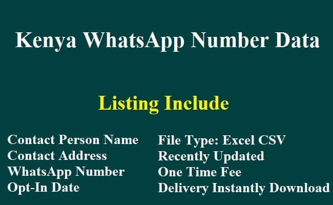 肯尼亚 WhatsApp 数据