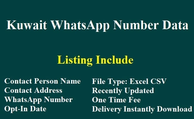 科威特 WhatsApp 数据