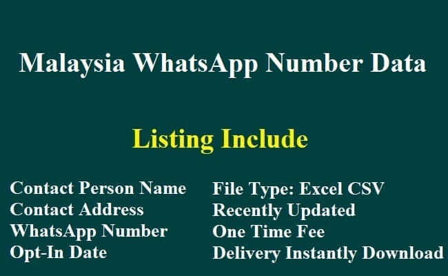 马来西亚 WhatsApp 数据