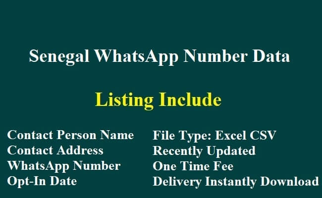 塞内加尔 WhatsApp 数据