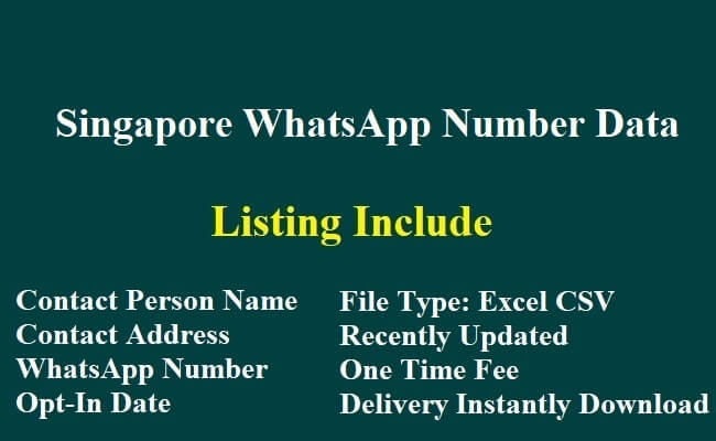 新加坡 WhatsApp 数据