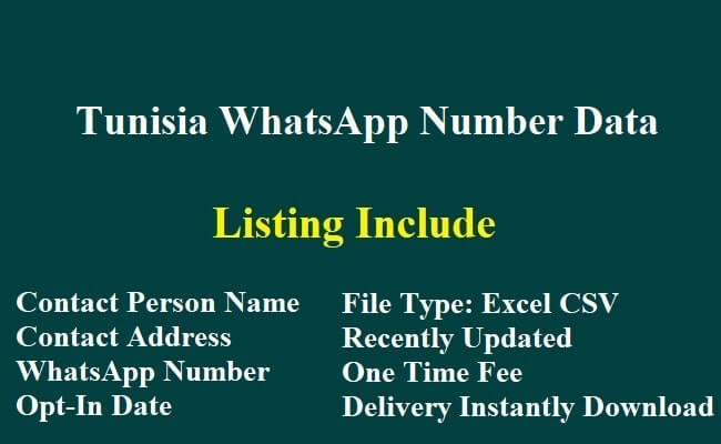 突尼斯 WhatsApp 数据