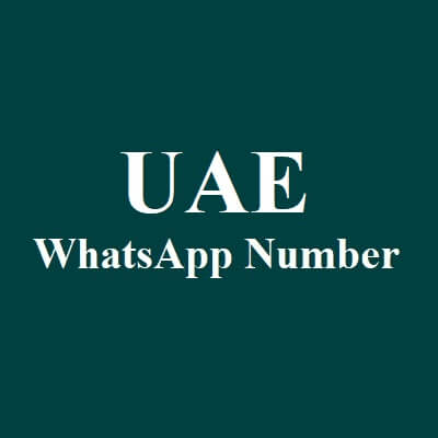 阿联酋 WhatsApp 数据