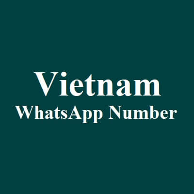 越南 WhatsApp 數據