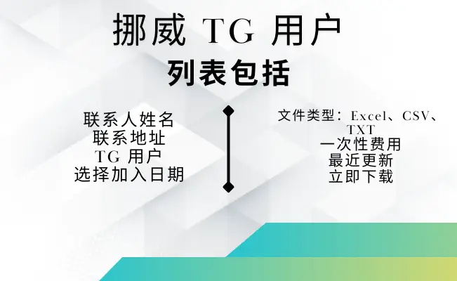 挪威 TG 用户
